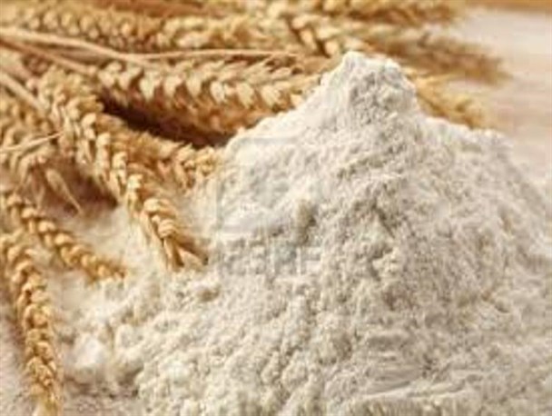 اقدامات لازم بر افزایش سهمیه آرد نسبت به جمعیت میناب صورت گیرد