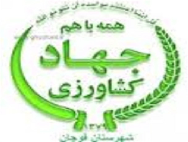 تعاونی های تولیدی به عامل توزیع کود و بذر تبدیل شده اند