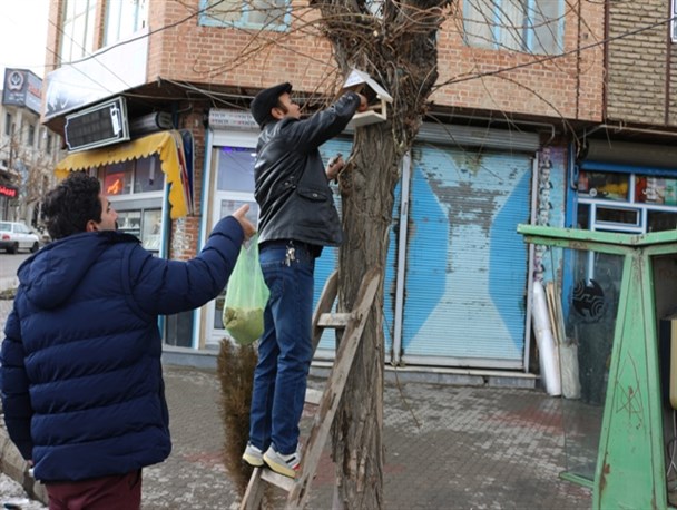 ساخت آشیانه و تهیه غذا برای پرندگان در هوای سرد و برفی چالدران