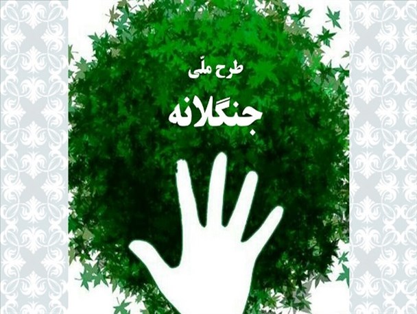 طرح جنگلانه در صفاشهر اجرا شد
