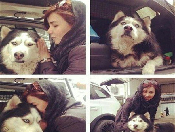 سلبریتی‌هایی که ژست روشنفکریشان با چاشنی جانوردوستی است +عکس