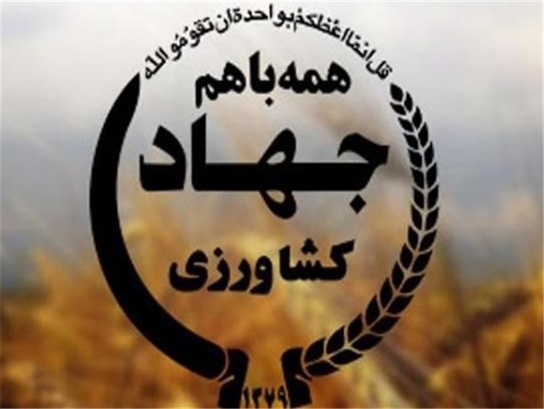 اختصاص ۶۸ درصد اعتبارات تسهیلات اشتغال روستایی و عشایری استان به بخش کشاورزی