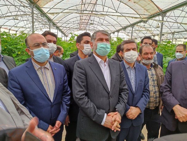 بازدید وزیر جهادکشاورزی از دو طرح کشاورزی در مهریز