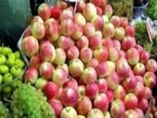 ذخیره سازی سیب شب عید تکمیل است