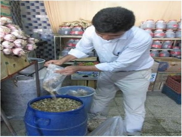 ثعلب مراوه تپه در راه ترکیه و پاکستان(بازنشر)+تصاویر