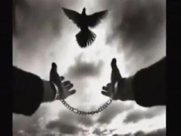 پنج محکوم مالی در دره شهر ازاد شدند