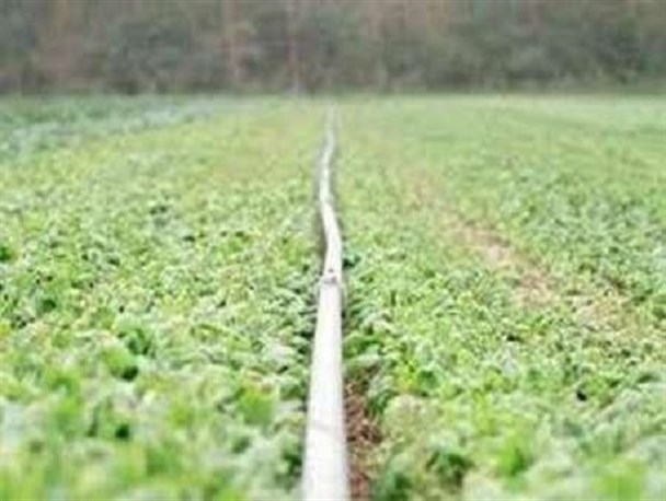 سرمازدگی، یخبندان و راهکارهای مبارزه با آن درکشاورزی