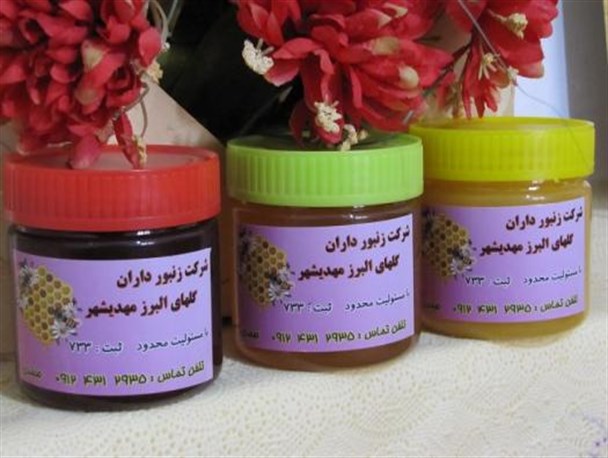 از یک کلنی زنبور عسل با 10 هزار تومان سرمایه تا افزایش چند برابری کلنی های زنبور