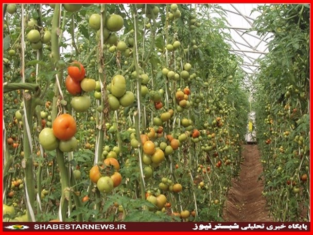 تصاویر/طرح های اقتصادمقاومتی درشبستر