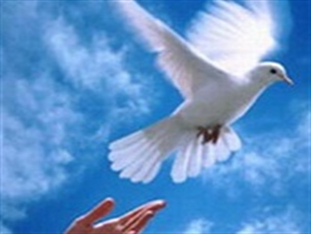 اهدای 2 هکتار زمین برای ساخت پایگاه امداد نجات جاده ای توسط خیر گناوه ای