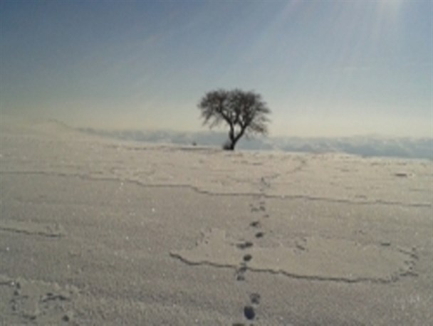 طبیعت زیبای زمستانی روستای مشکول