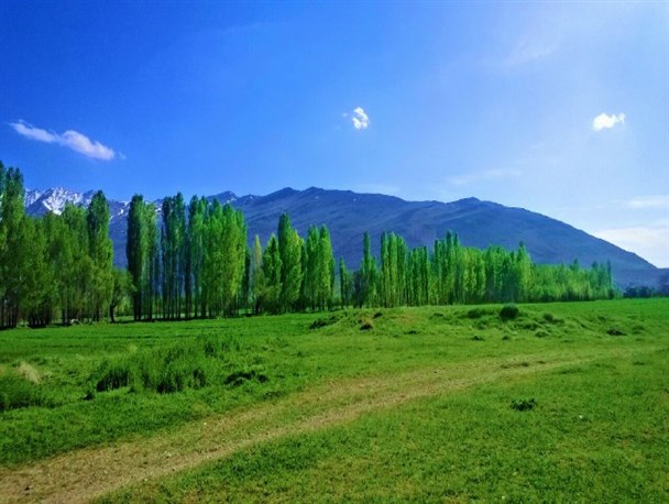 یک عکس و سه فصل/ روستای دهنو در شازند