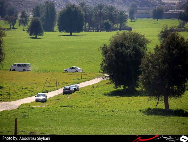 بهار در زمستان شهرستان پارسیان/ طبیعت گردی زمستانه در جنوب کشور+تصویر