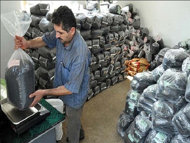 پدیده قاچاق گریبانگیرصنعت چای/ ضربه به تولید داخلی با ارائه محصولات خارجی
