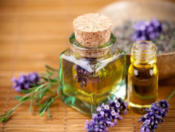 غربت گیاهان دارویی در بام ایران زمین