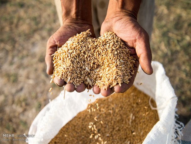 کردستانی‌ها ۱۶ میلیارد تومان زکات پرداخت کردند