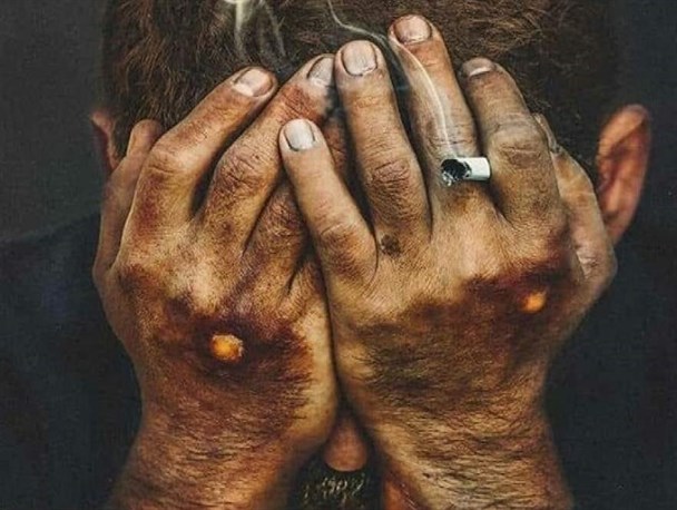 "درخت گردو"؛ تراژدی محافظه‌کارانه