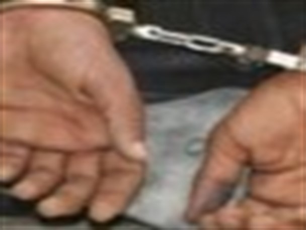 25 فقره سرقت منزل، در کلکسیون جرایم باند شرارت