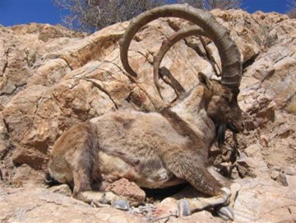 منطقه حفاظت شده شیدا