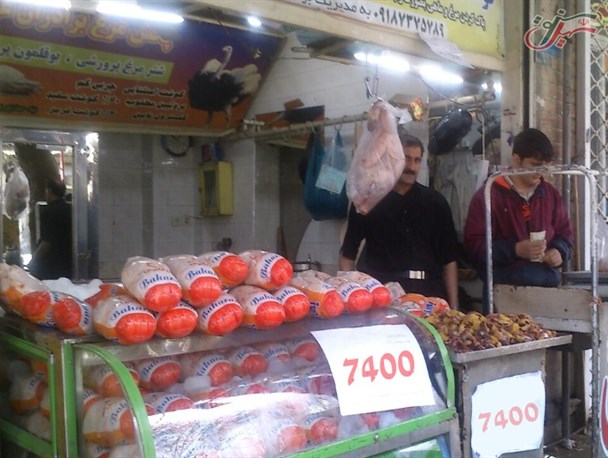 نظارت و مدیریت جهادکشاورزی بر قیمت فروش مرغ در شهرستان سنقروکلیایی