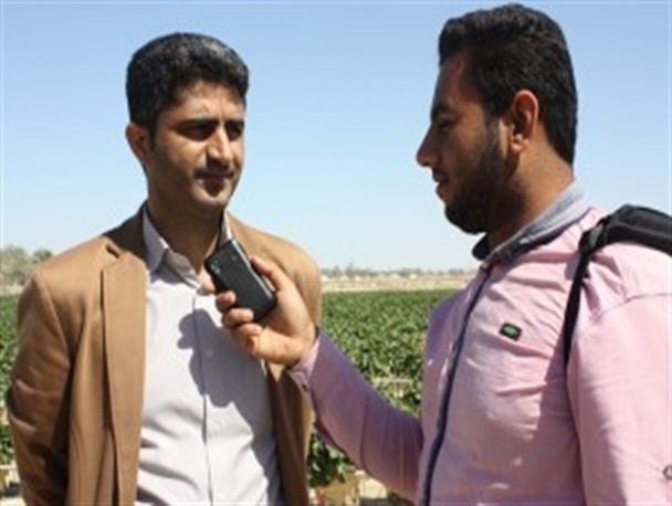 میوه و مرغ منجمد موردنیازشهرستان قشم تامین شد