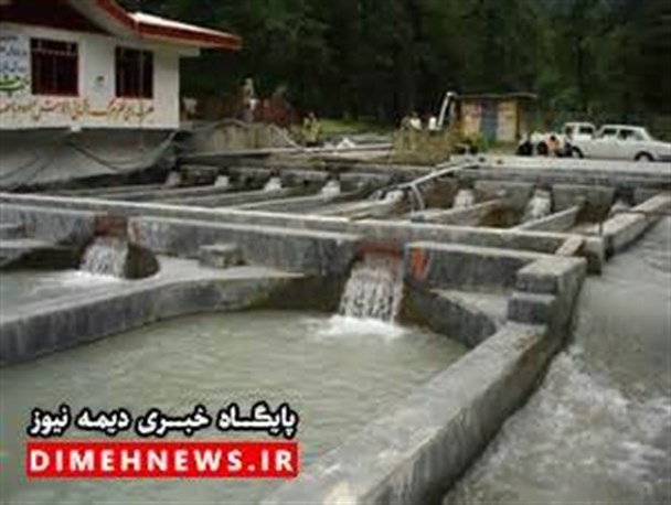 مدیرکل شیلات استان سیستان و بلوچستان از مزارع پرورش ماهی فیروزکوه بازدید کرد