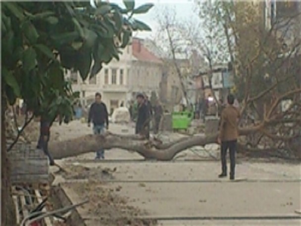 تندباد با سرعت 69 کیلومتر در ساعت، گرمی را درنوردید