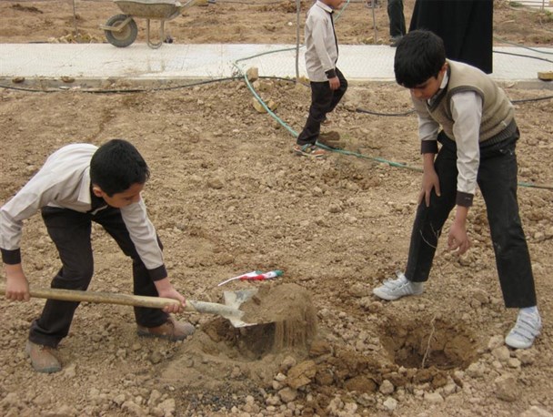 گزارش تصویری از درختکاری دانش آموزان دبستانی در ناحیه مقاومت بسیج میبد