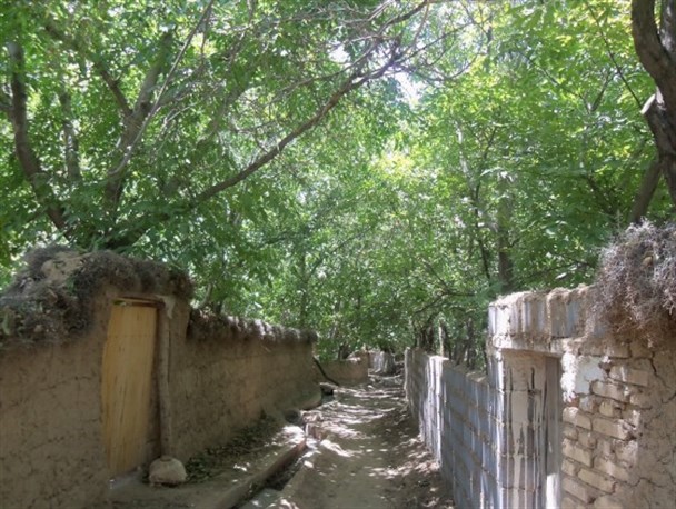 سفر کجا بریم؟ پیشنهاد ما به شما، شهرستان فاروج است