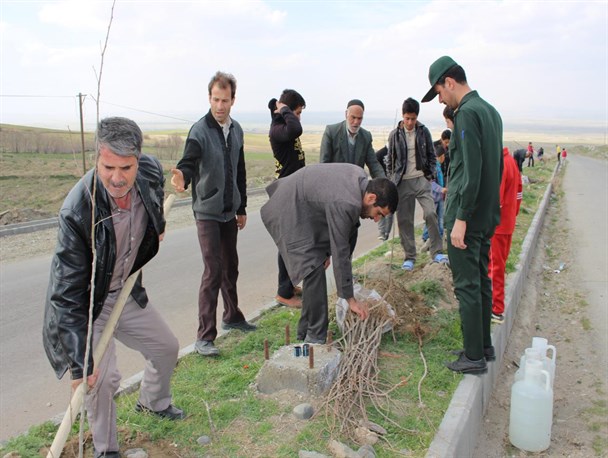 کاشت ۱۰۰ اصله نهال در روستای حسین‌آباد عاشوری+تصاویر