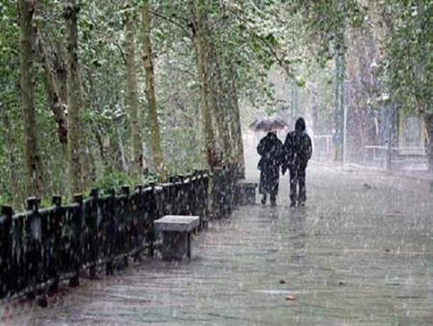 جهاد کشاورزی درباره سرمازدگی باغات به کشاورزان هشدار داد