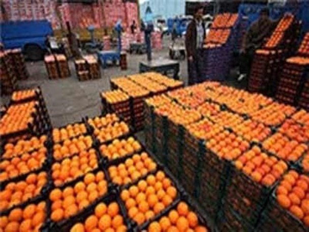 آغاز طرح توزیع میوه های نوروزی در 10 مرکز عرضه شهرستان گناباد