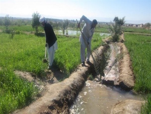 آموزش مهارتهای کشاورزی به مددجویان زندان ایرانشهر/حرفه آموزی فرایندی مهم در اصلاح و تربیت