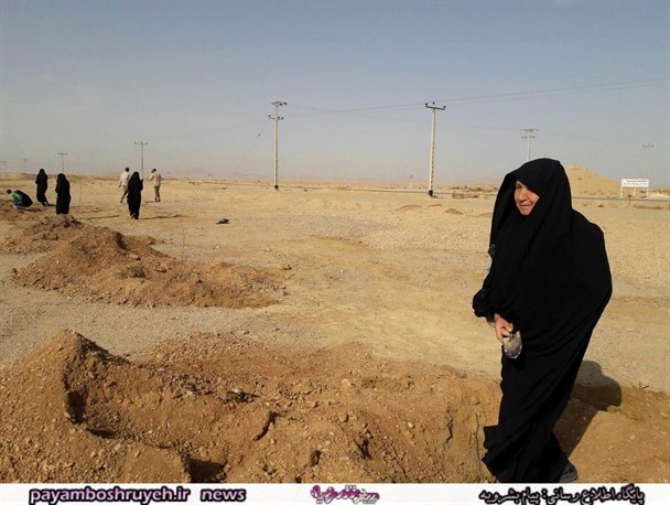 غرس 154 نهال توت توسط بانوان  بسیجی به یاد شهدای بشرویه+تصاویر