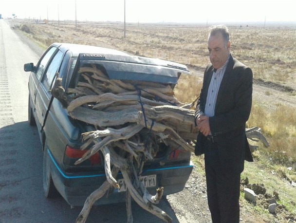 خودروی حامل قاچاق چوب در اشتهارد دستگیر شد/تصاویر