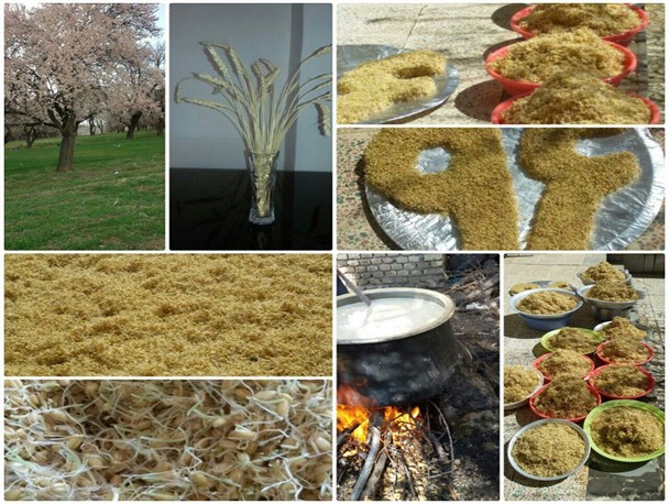 بهار مهمان خانه با صفای حاشیه نشینان زاینده رود/ از سبزه کاری تا نمازحاجت سمنوپزان