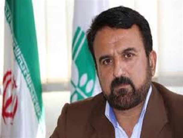 پاکسازی حاشیه کمربندی تاکستان از وجود زباله توسط دوستداران محیط زیست