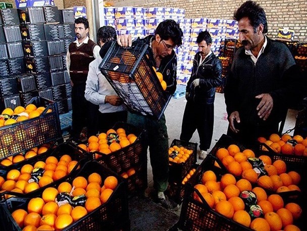 آغاز توزیع میوه شب عید در سیستان و بلوچستان