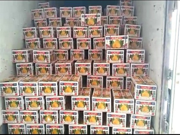 آغاز واردات ۵ هزار تن نارنگی پاکستانی به کشور پس از ۹ سال ممنوعیت