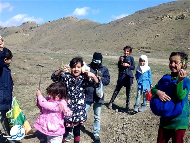 تفریح و شادی کودکان جرگلانی با جمع‌آوری کنگر