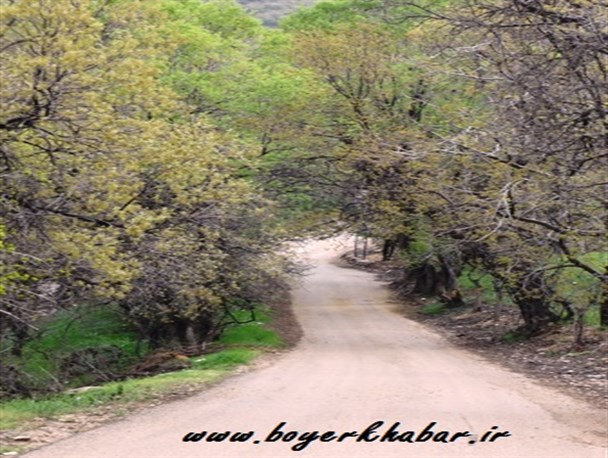 تصاویر زیبای پارک آبشار شهر یاسوج در بهار