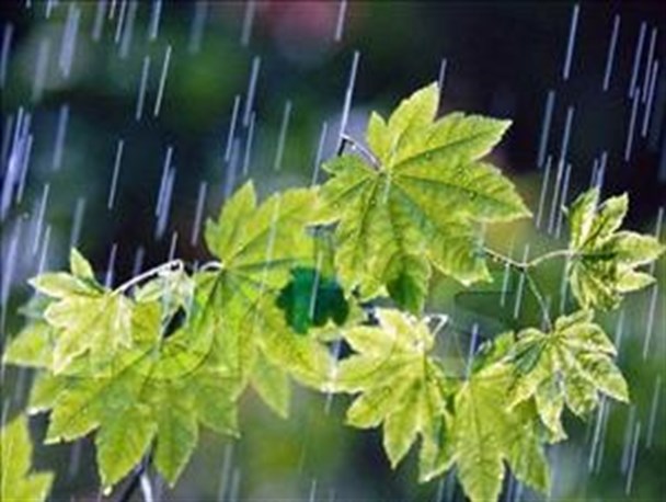 بارش متناوب باران آذربایجان شرقی را در بر می گیرد/ورزقان سردترین شهر استان
