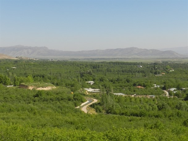 وقتی طبیعت بکر سپیدان بی رحمانه مورد تاخت قرار می گیرد