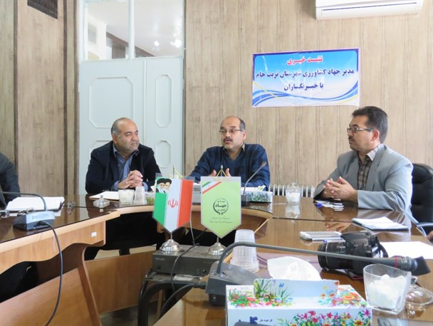 عملیات مبارزه با سن گندم در مزارع شهرستان تربت جام آغاز شد