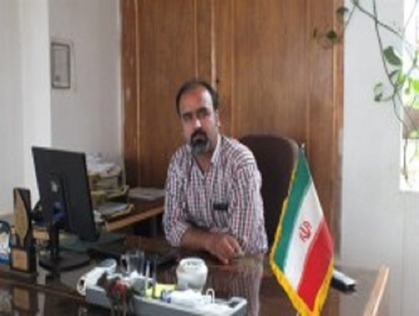 درخت سرو کهنسال اسکیونگ سربیشه در فهرست آثار طبیعی ملی ثبت شد