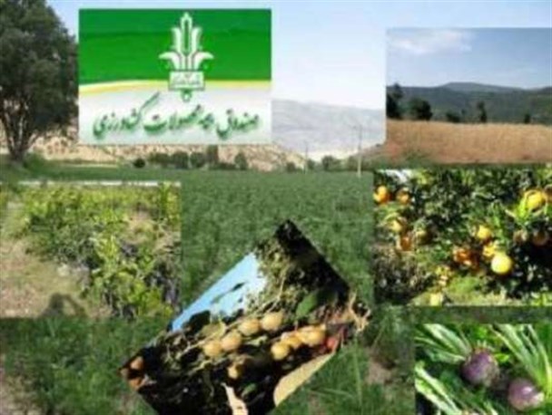 چشم انتظاری کشاورزان سروآباد به وعده های سرخرمن/پرداخت غرامت سالگردش تمام شد