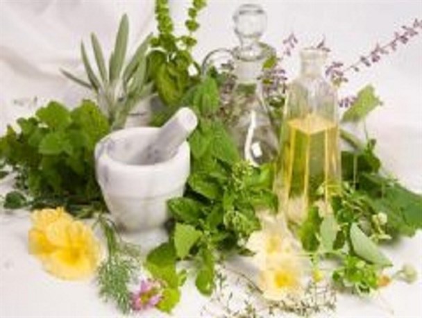 جشنواره گیاهان دارویی و طب سنتی نطنز تیرماه برگزار می شود