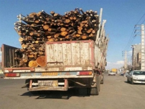 تکذیب قاچاق چوب از اردبیل