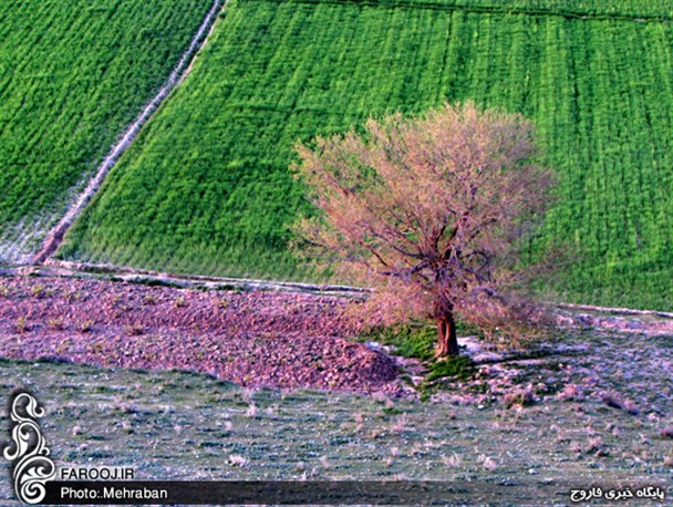 کلاته جعفرآباد به روایت تصویر