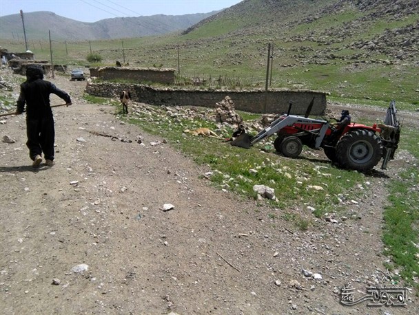 شیوع بیماری تب برفکی موجب مرگ دهها رأس گاو و گوسفند شد